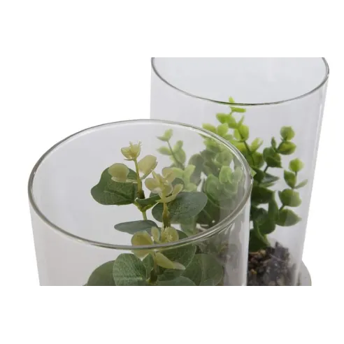 planta con base y cilindro cristal