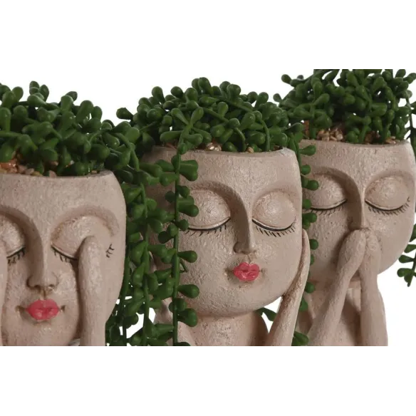 figura chica planta conlgante