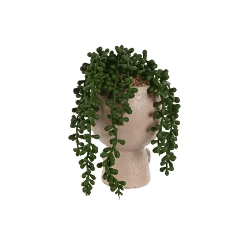 figura chica planta conlgante