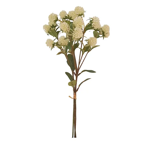 ramo atado trifolium blanco