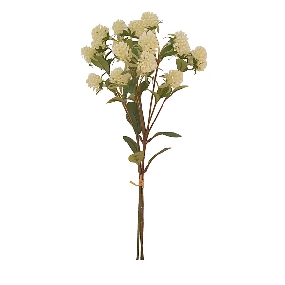 ramo atado trifolium blanco