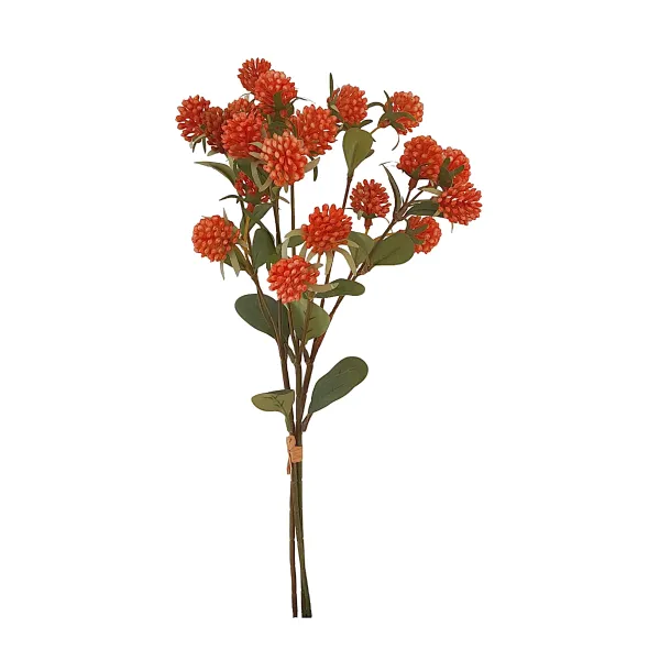 ramo atado trifolium naranja