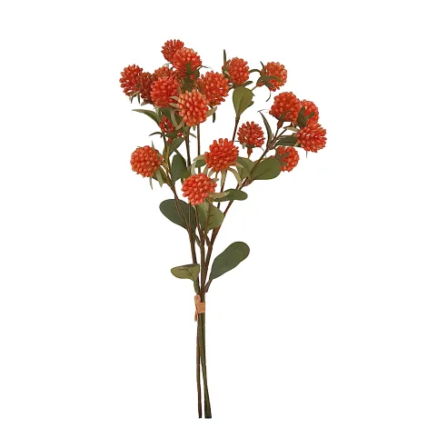 ramo atado trifolium naranja