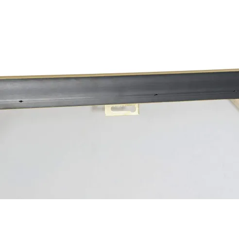 cuadro lienzo leon y guepardo flores