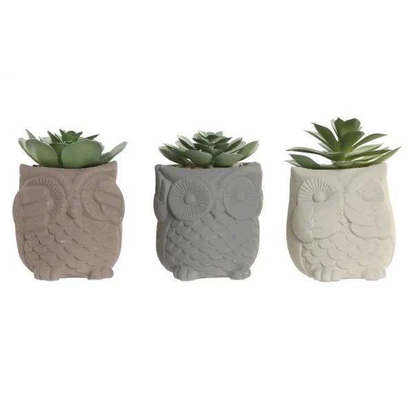 figura buho planta cactus
