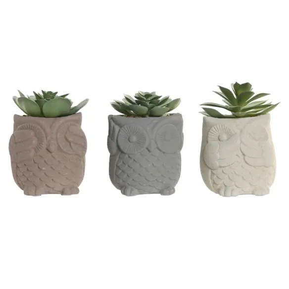 figura buho planta cactus