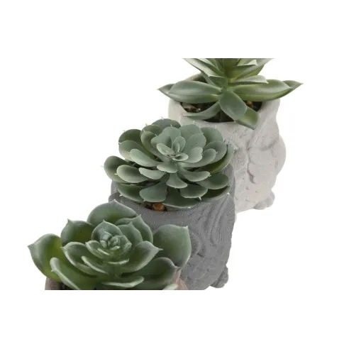 figura buho planta cactus