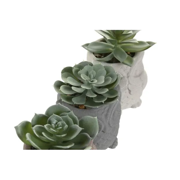 figura buho planta cactus