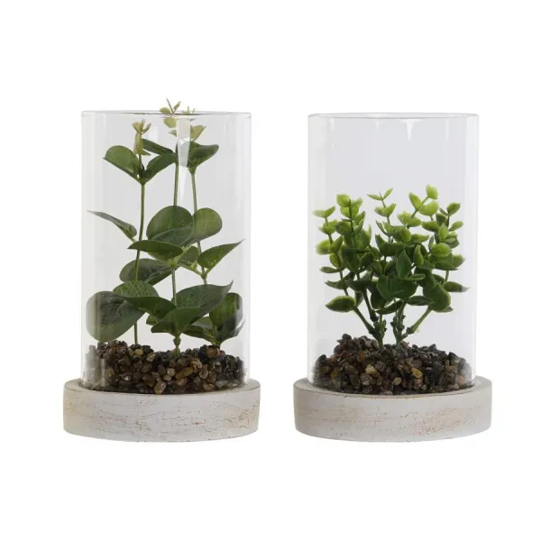 planta con base y cilindro cristal