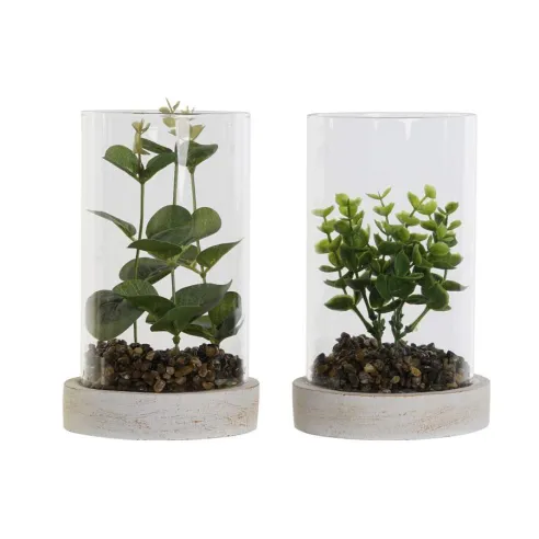 planta con base y cilindro cristal