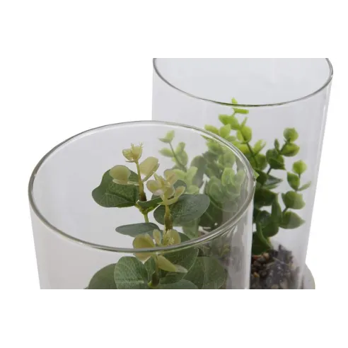 planta con base y cilindro cristal