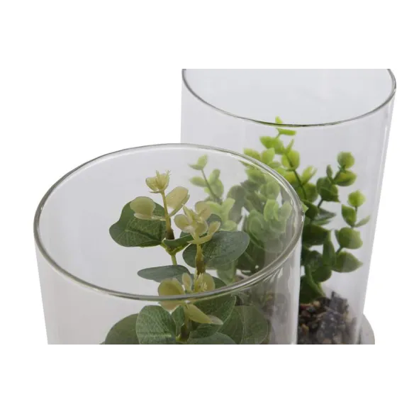 planta con base y cilindro cristal