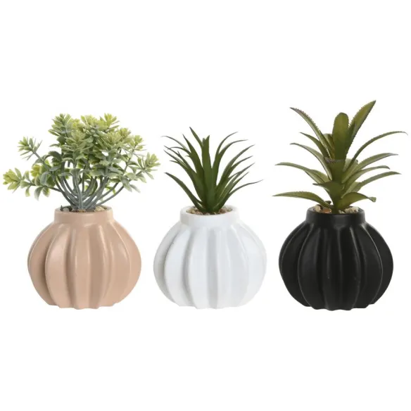 planta ceramica colores
