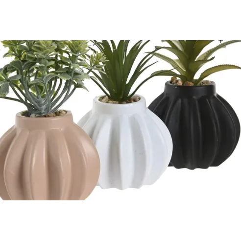 planta ceramica colores