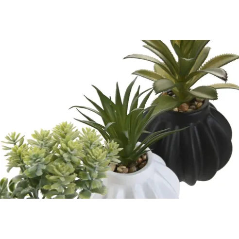 planta ceramica colores