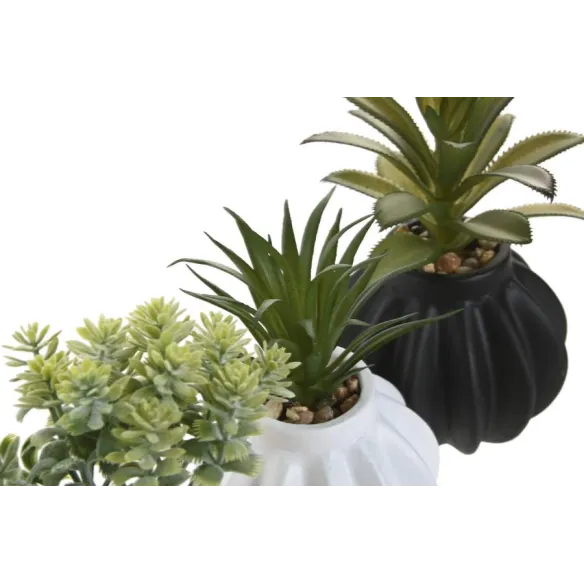 planta ceramica colores