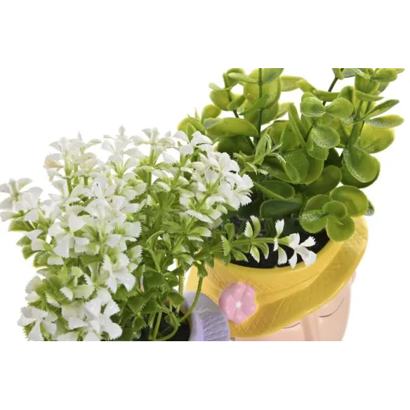 planta chica con sombrero