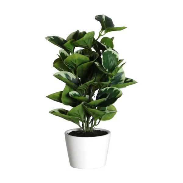 planta hojas tapioca