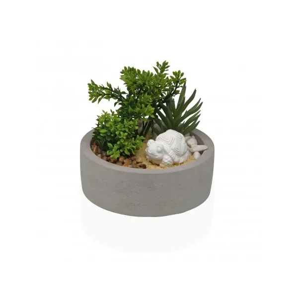 maceta cemento planta y tortuga