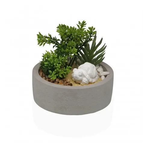 maceta cemento planta y tortuga