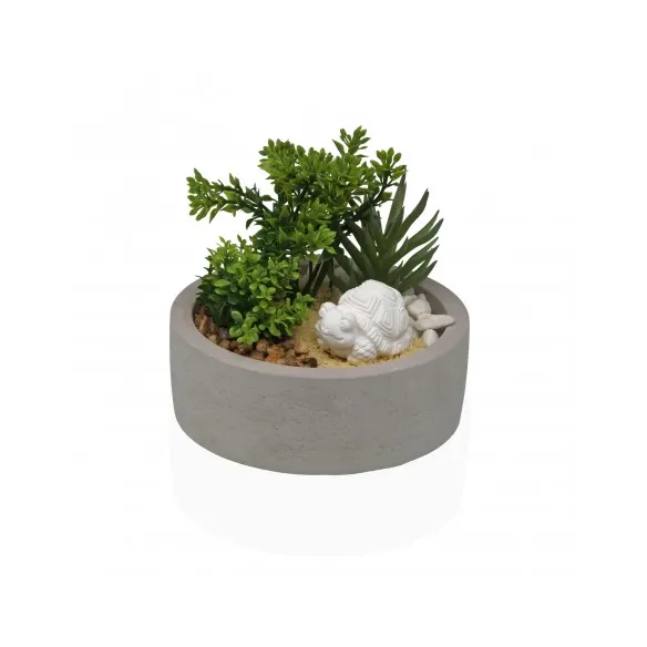 maceta cemento planta y tortuga