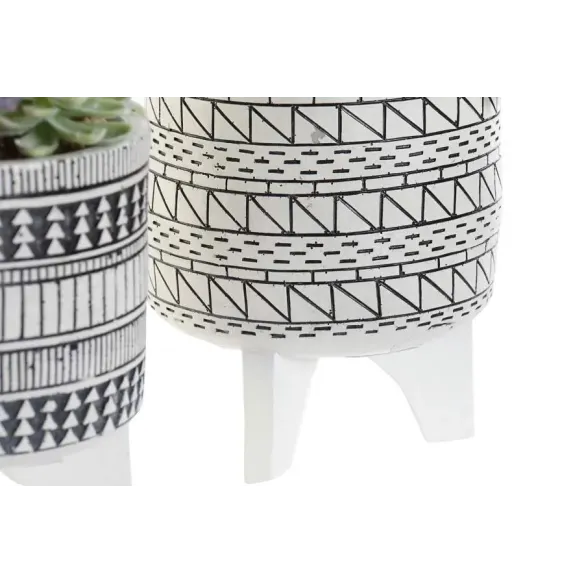 planta resina con cactus