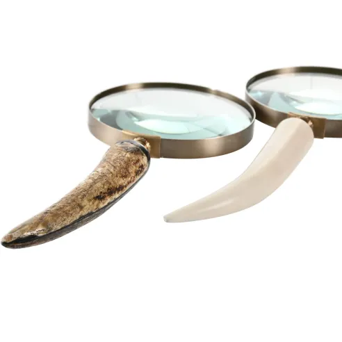 lupa de mano forma cuerno