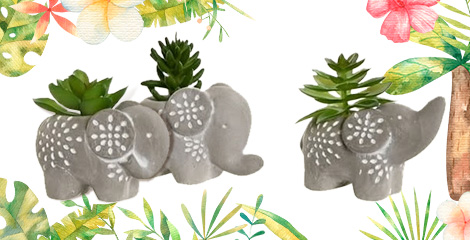 Casa Viva: Objetos y Decoración