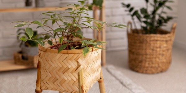 Decoración en el hogar: ideas y tendencias para transformar tu espacio